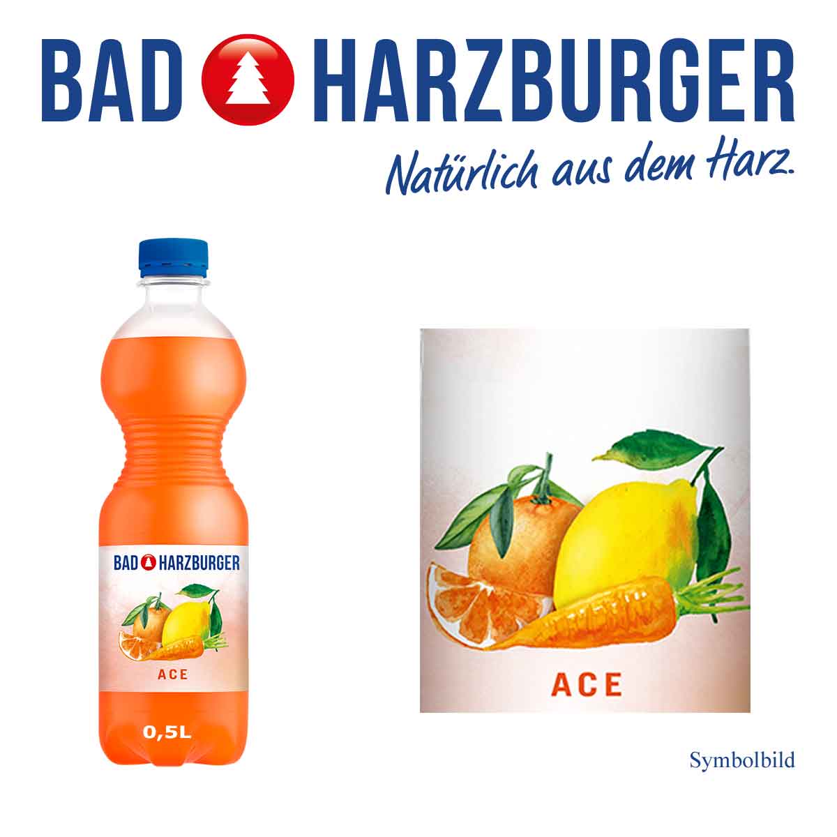 Bad-Harzburger-ACE-0_5-Ltr-PET-Cycle-Flasche-2022-01-27-Ki-Fl-Li-Logo-oben-03 Bad Harzburger ACE