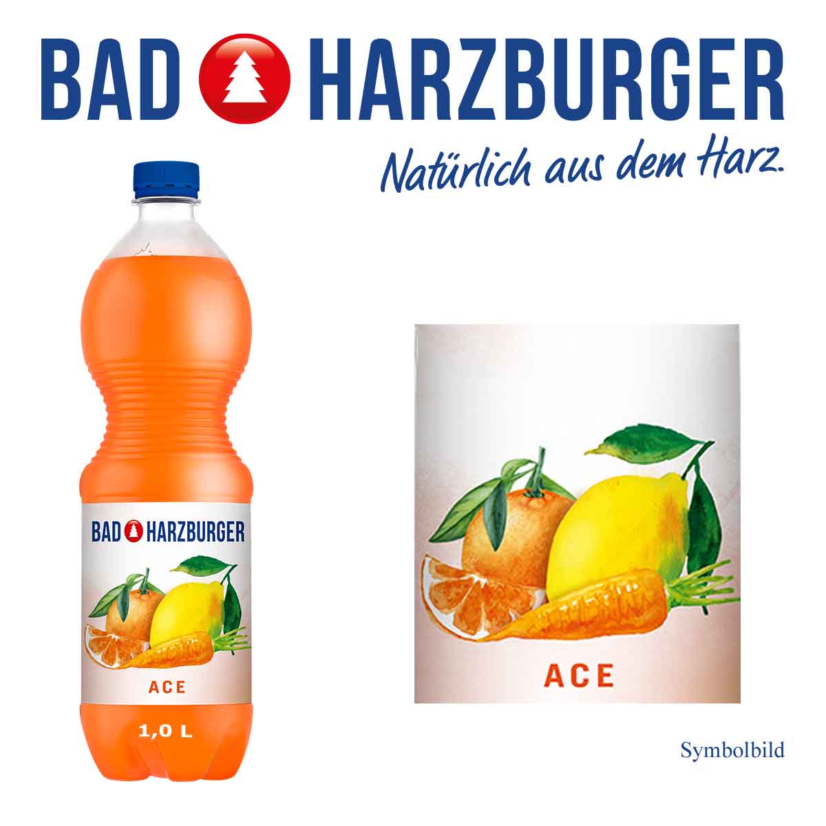 Bad-Harzburger-ACE-1-Ltr-PET-Cycle-Flasche-2022-01-27-Fl-Li-Logo-oben Bad Harzburger ACE